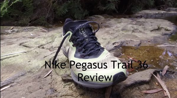 ut pegasus 36