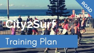 City2Surf how to train